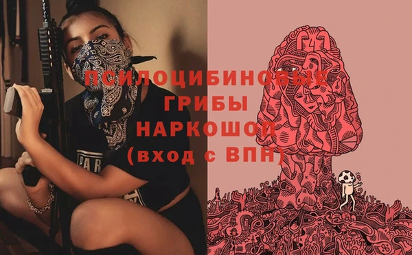 каннабис Аркадак